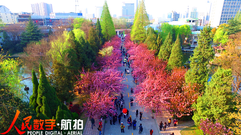 �ƴ�ӣ���ͷ�