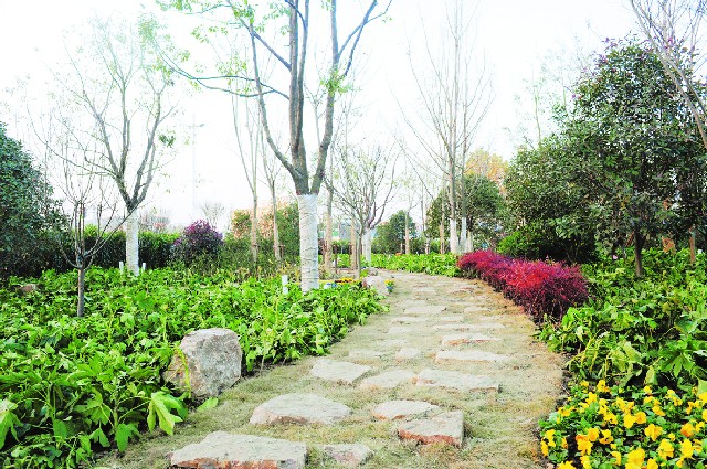 �����У���·�̻����������羰