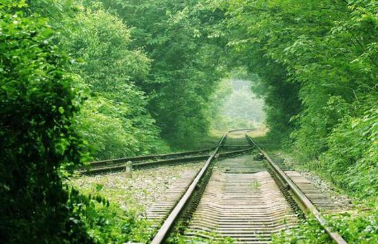 �ʶ������������������� ӵ���ڿ�����������